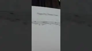 Как научиться хорошо читать с листа!