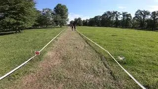 Jacksonville &ndash; Spartan Race Sprint &ndash; 2018 &ndash; Bucket Brigaide