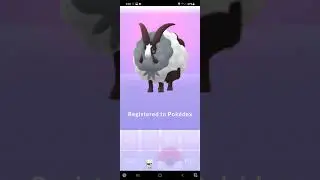 POKEMON GO - Evolve Male and Female Wooloo to Dubwool