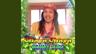 Chaya Chaya