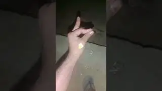#tehran