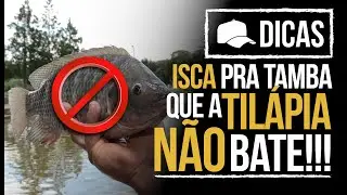ISCAS PRA TAMBAS QUE AS TIL&Aacute;PIAS N&Atilde;O BATEM!!! (DICA)