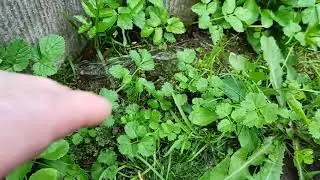 VID 20200829 185819