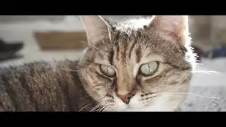 Cinematic Sony RX100 V Test Footage Handheld