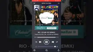 Rio - Ice Me Out (Remix)