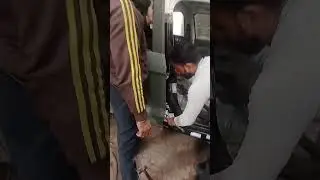 car 🚗 accidental body repair #75hardchallenge #youtubeshorts #rial today work 😄#funnyshorts