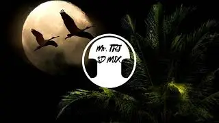 Post Malone ft. Ty Dolla $ign - Psycho (it's different Remix)(8D/3D Remix)