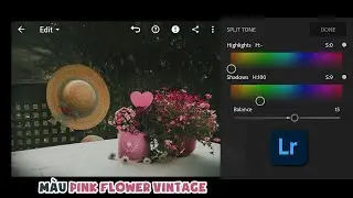 Hướng dẫn chỉnh m&agrave;u Flower Pink Vintage Lightroom Preset Tutorial, DNG Preset Free #54
