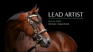 Lead Artist - NEW for 2026