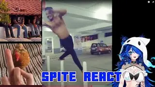 Spite React To UNUSUAL MEMES COMPILATION 339