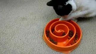 Junior demonstrating a Fun Feeder