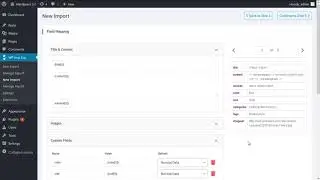 Import custom fields