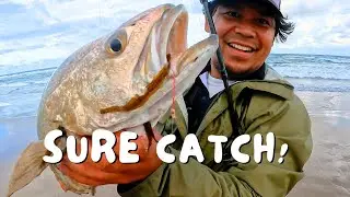 Proof That Beach Worms Work! (Catch & Bait)
