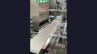 check weigher connected with packing machine