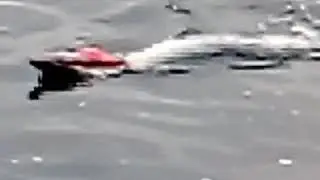 Il motoscafo telecomandato