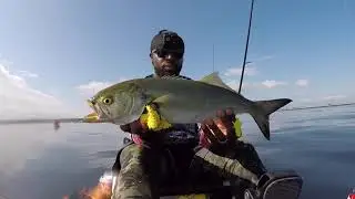 Last Day Fluke Fishing I Get Trebled By Cocktail Bluefish 