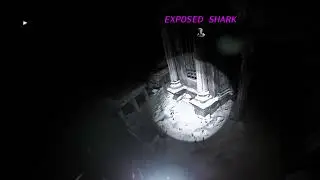 firs body cam zombies live stream