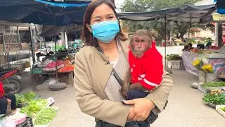 Must Watch! CUTIS&rsquo; Excited Market Adventure with Mom Is Too Funny