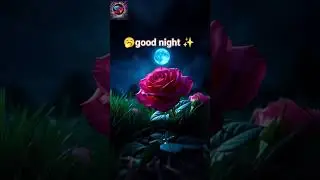💫 vaigai karai katre song | sujitview night songs | sujitview 🔥 🌺 🌺