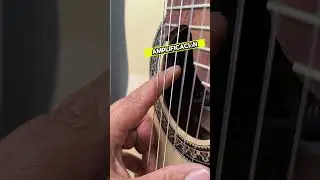 Guitarra ANDINA SPH5 con Preamplificador Artec SHP5 &ndash; Un Sonido Inigualable