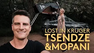 TSENDZE and Tamboti - Lost in Kruger (4K)