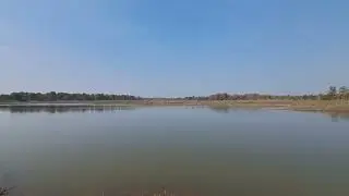 Lake - Forest Lake - Water Reservoir