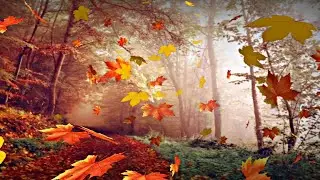 Falling Leaves Green Screen Effect 2021 | Best Leaves Falling Effect | Copyright Free