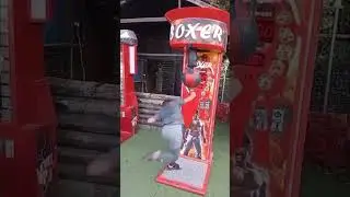 Box Machine Fails 😅