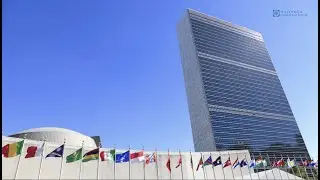 B'nai B'rith at the United Nations