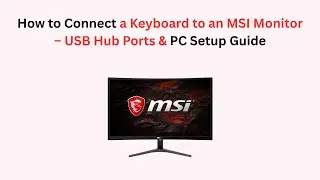 How to Connect a Keyboard to an MSI Monitor &ndash; USB Hub Ports & PC Setup Guide