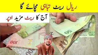 What is the Current Rate of the Saudi Riyal in Pakistan and India?,