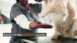Dog Multivitamin, Chewable Dog Vitamins and Supplements for Hip & Joints, Skin & Coat, Omega 3