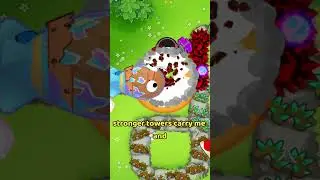 The Life of a Dart Monkey