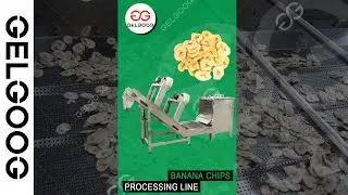 Automatic Banana Chips Processing Equipment List