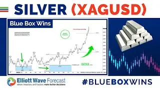 Silver (XAGUSD) Found Buyers in Blue Box and Rallied 91%