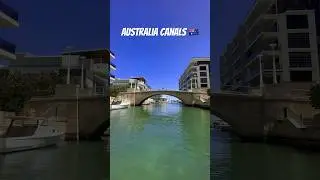Aussie canals😱#music #fishing #ocean #love #sea #new #boat #aussie #australia #today #shorts #reels