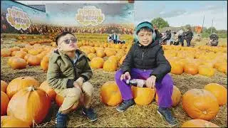 Pumpkin Patch in Crews Hill 2023 | #autismlifeuk #pumpkinpatch