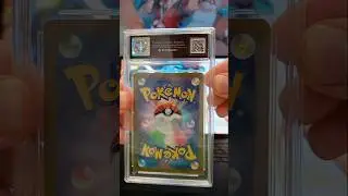 Investing In Pok&eacute;mon