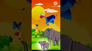 Lost baby elephant