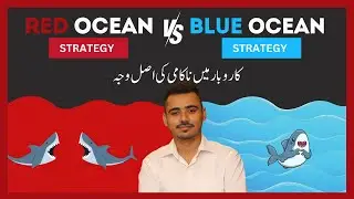 Red Ocean vs. Blue Ocean Strategy: Which One Wins? | Zia Haider
