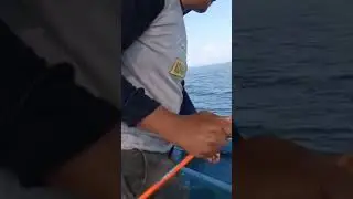 Adu cepat strike ikan kakap..‼️