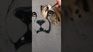 How to draw leopard | Colored pencil on canson paper