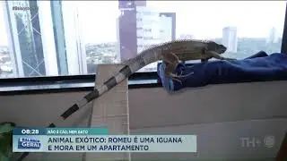 BALANÇO GERAL MANHÃ - AO VIVO - 31/12/2025