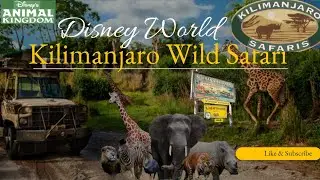 Kilimanjaro Wild Safari at Animal Kingdom || Walt Disney || Animal Kingdom || Wild Safari || Africa 