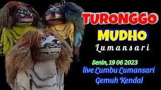 SINGO BARONG TURONGGO MUDHO live Lumbu Lumansari Gemuh Kendal