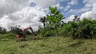 Backhoe cleaning up the mini hill to add planting soil to the Walipini hill.