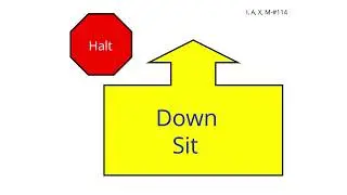 AKC Rally Advanced #114 Halt - Down - Sit