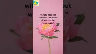 Quote on Rose's #quotesonroses #roses #quotes #quoteoftheday