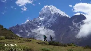 Nepal In 4K #музыка #shorts #music #faith #worship 