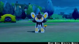 Luxio In Camp - Pokemon Sword & Shield